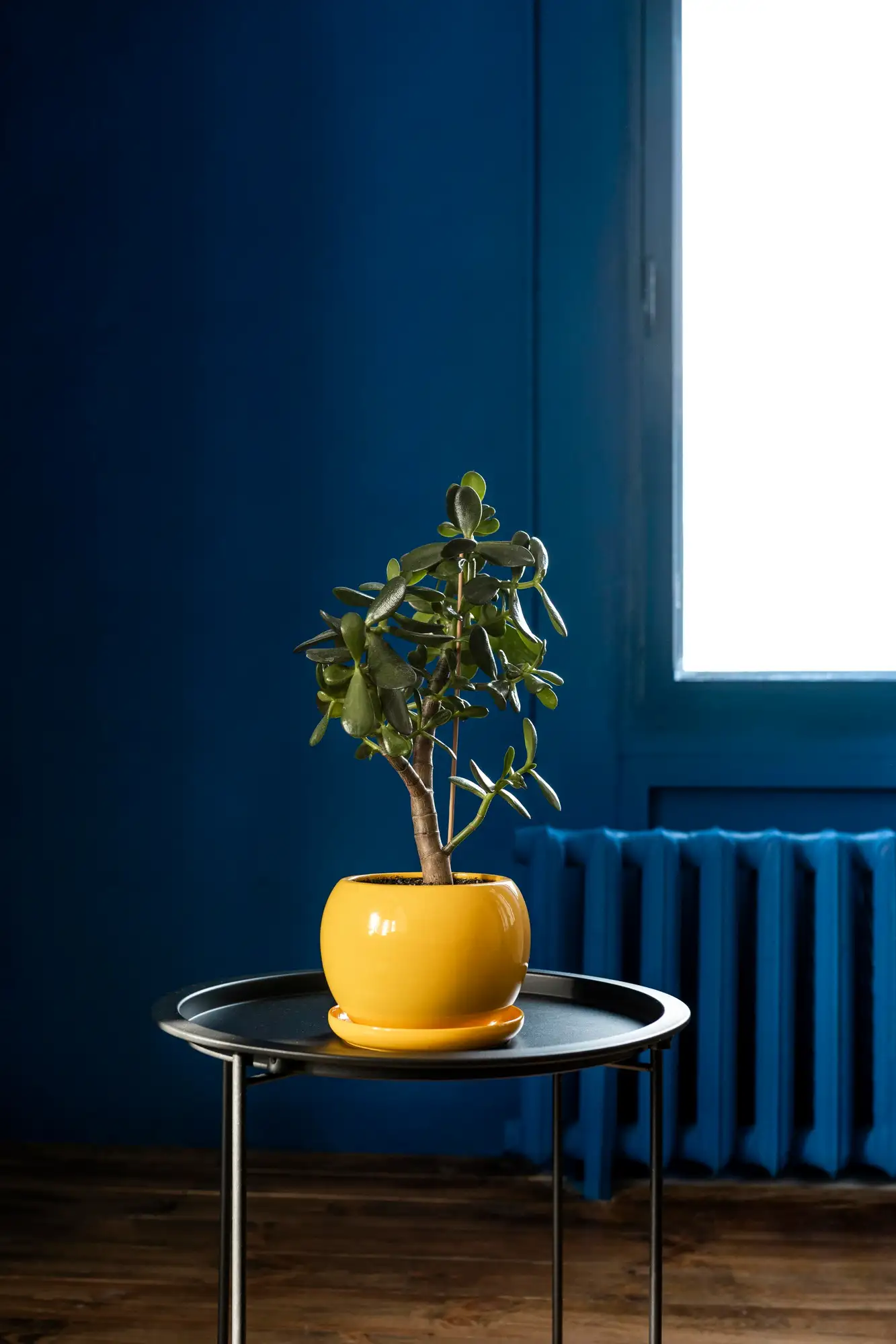 Design indoor